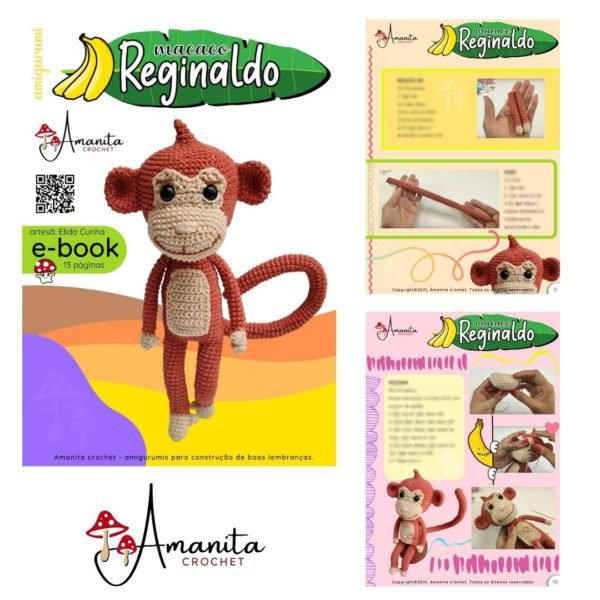 Reginaldo - Imagem 2